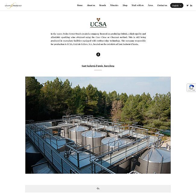 Wine Bazaar