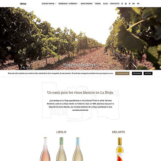 Wine Bazaar