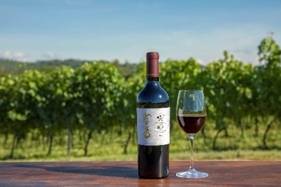 Wine Bazaar
