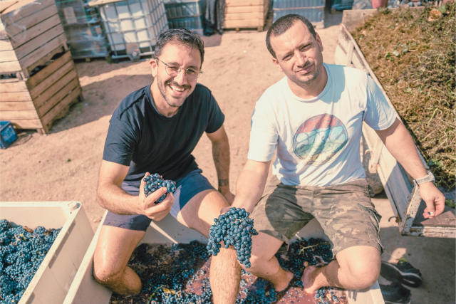 Wine Bazaar
