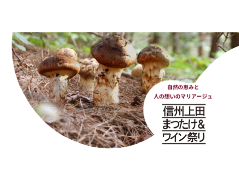 長野県上田市の別所温泉で「信州上田まつたけ＆ワイン祭り2024」開催