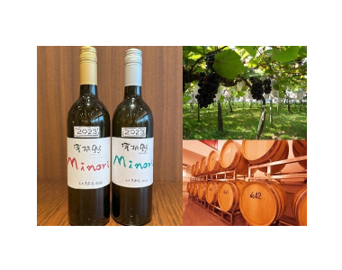 Wine Bazaar
