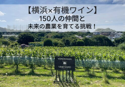 横濱ワイナリー、次世代の都市農業に向けたクラウドファンディングを開始