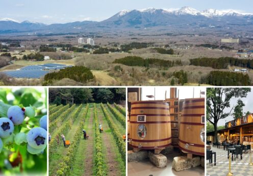Nasu 661 WINE HILLS「ワイン＝ブドウ」を超えて 那須御用邸の麓、ブルーベリーと里山の丘