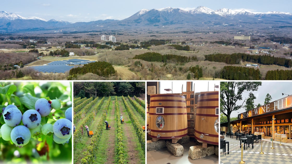 Nasu 661 WINE HILLS「ワイン＝ブドウ」を超えて 那須御用邸の麓、ブルーベリーと里山の丘