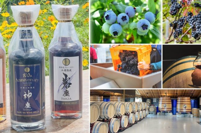 第5回Nasu 661 WINE HILLS、11月8日に収穫祭を開催