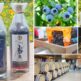 第5回Nasu 661 WINE HILLS、11月8日に収穫祭を開催
