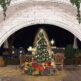 サンクゼールのクリスマス「丘のノエル」11月7日～12月25日まで開催。長野のワイナリーで楽しむアドベント